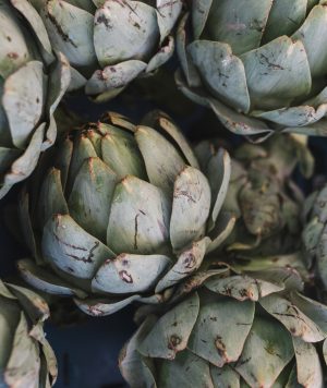 overhead-view-janitor-holding-artichoke-scaled